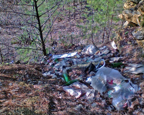Svalka_24042012-6.jpg