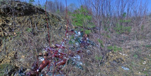 Svalka_24042012-9.jpg