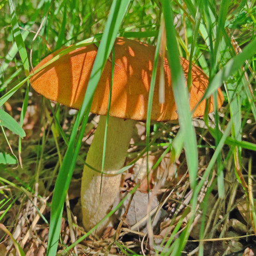 Les_17.07.2023-4.jpg