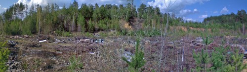 Svalka_24042012-12.jpg