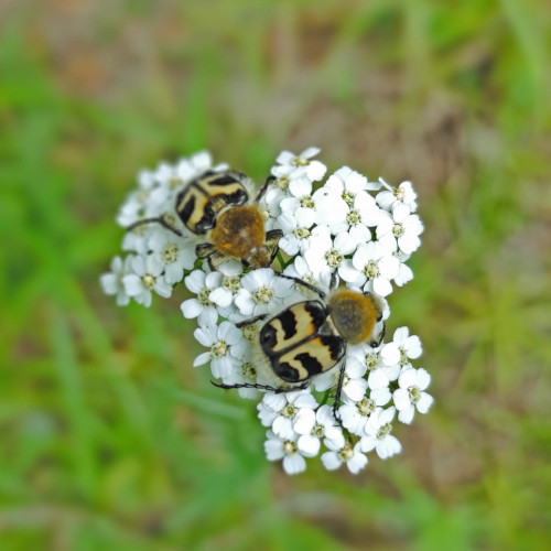 Les_19.07.2023-3.jpg