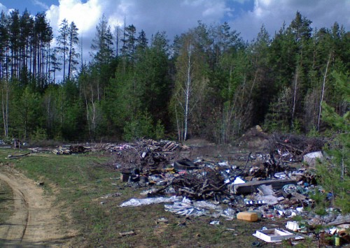 Svalka_24042012-14.jpg