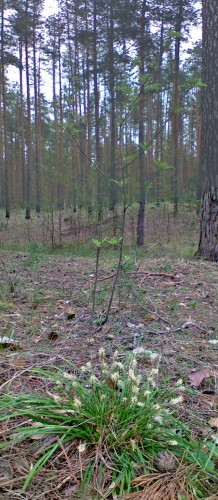 Les_27042012-1a.jpg