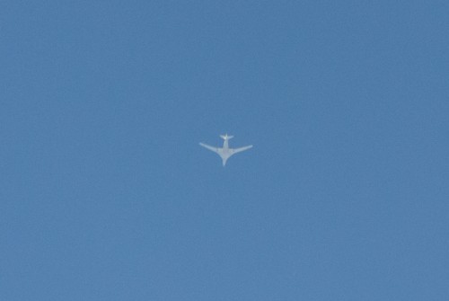 DSC_0321.jpg