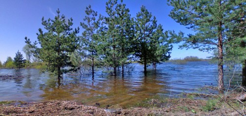 Les_04052012-1.jpg