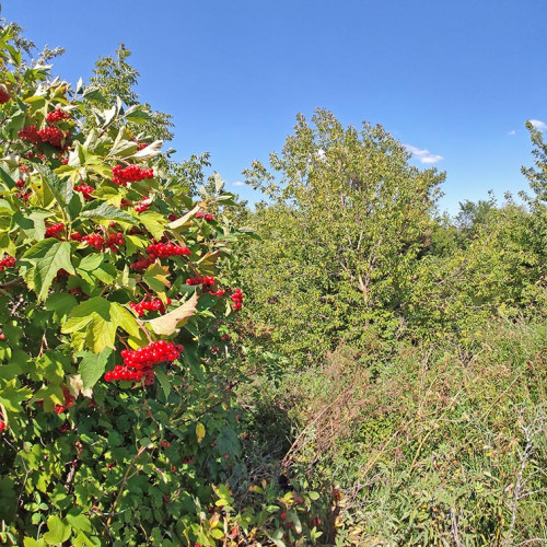 Les_07.08.2023-1.jpg