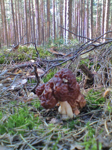 Les_04052012-5.jpg