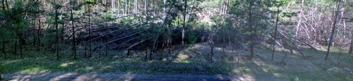 Les_04052012-13.jpg