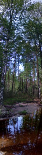 Les_06052012-6.jpg