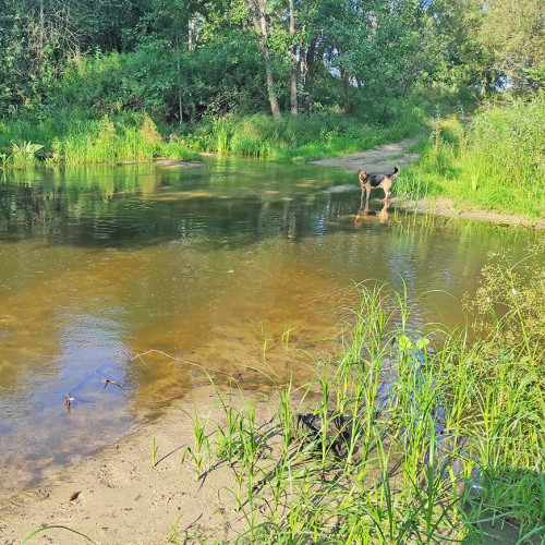 Les_17.8.2023-4.jpg