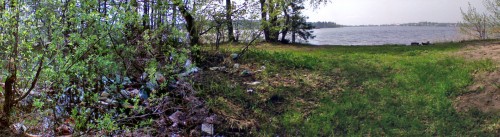 Svalka_06052012-4.jpg