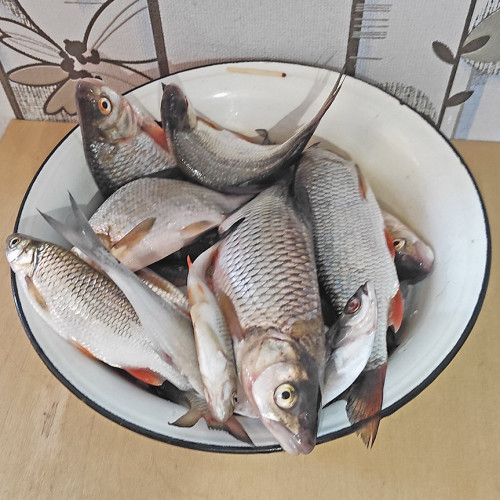 Les_19.8.2023-3.jpg