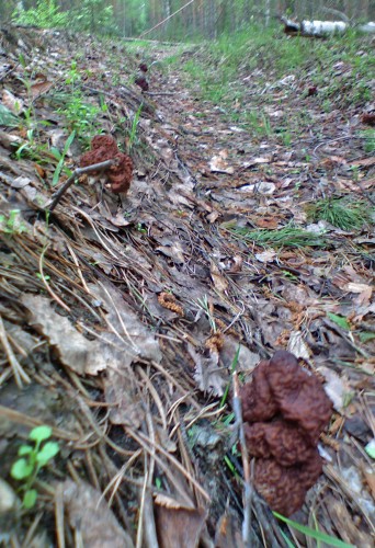 Les_10042012-2.jpg