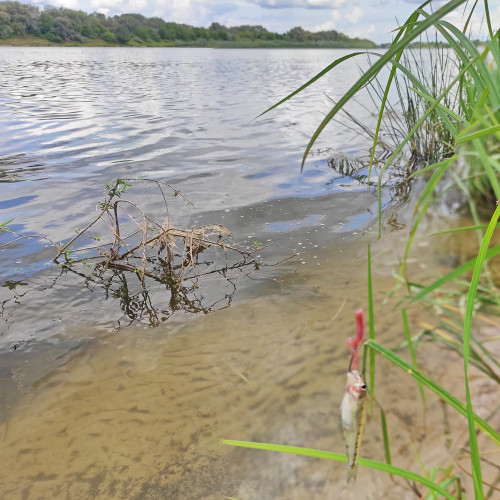 Les_23.8.2023-4.jpg