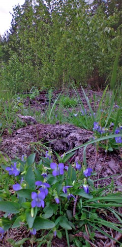 Les_10042012-4.jpg