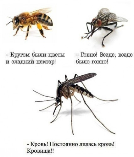 2023-08-29_14-17-46.jpg