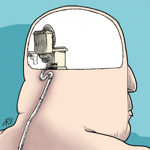 Brain_yol61.jpg