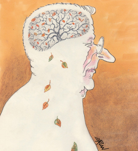 Brain-akyol50.jpg