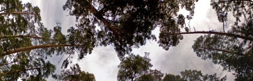 Les_12052012-4.jpg
