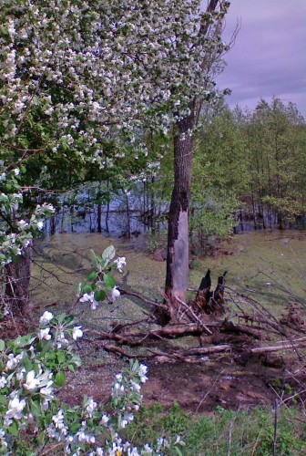 Les_12052012-2.jpg
