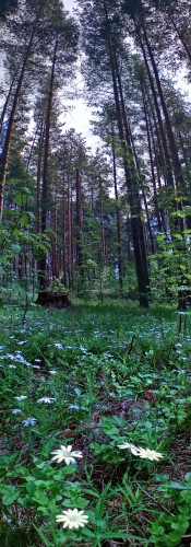 Les_12052012-5.jpg