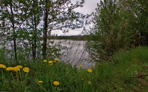 Les_13052012-2.jpg