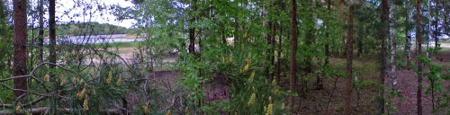 Les_14052012-1.jpg