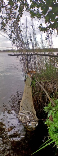 Les_14052012-3.jpg