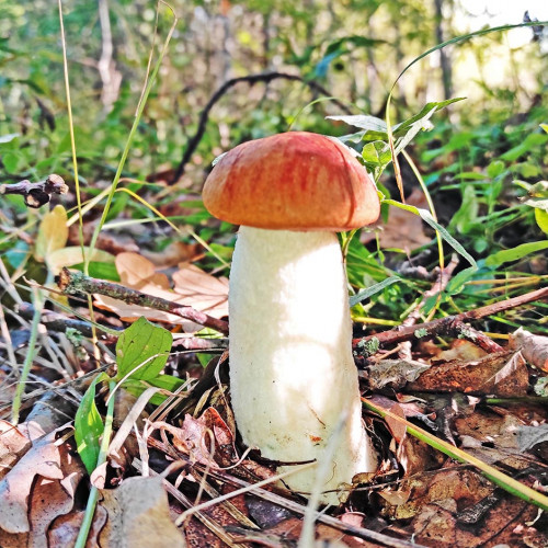 Les_13.09.2023-4.jpg