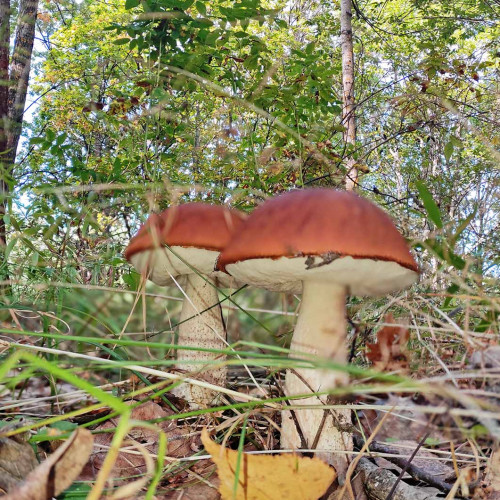 Les_13.09.2023-5.jpg