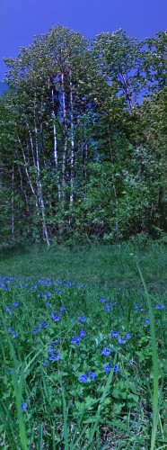 Les_16052012-1.jpg