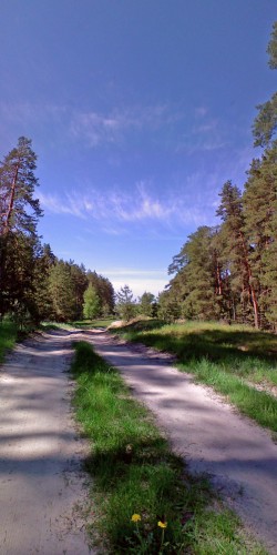 Les_18052012-1.jpg