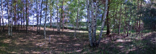 Les_20052012-1.jpg