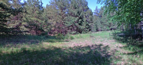 Les_20052012-2.jpg