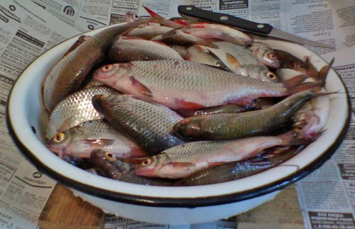 Les_20052012-4.jpg