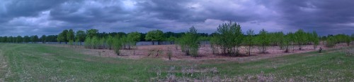 Les_23052012-2.jpg