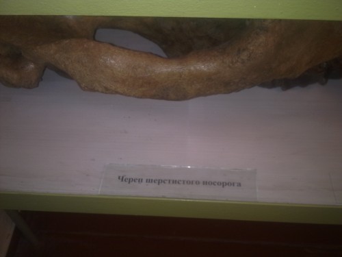 23052011756.jpg