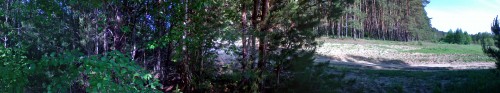 Les_25052012-1.jpg