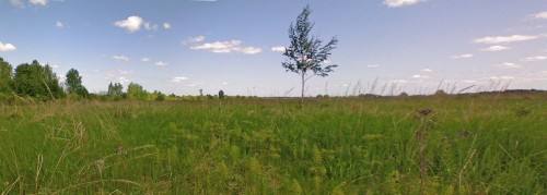 Les_25052012-2.jpg