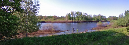 Les_25052012-4.jpg