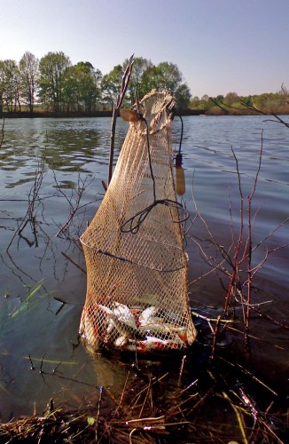 Les_25052012-5.jpg