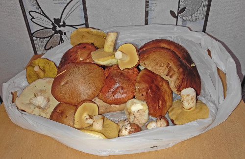 Les_29.09.2023-3.jpg