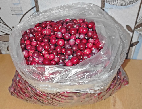 Les_29.09.2023-4.jpg