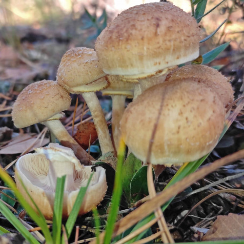 Les_01.10.2023-1.jpg