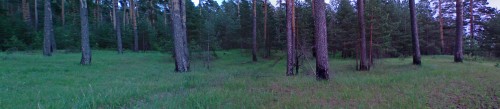 Les_31052012-1.jpg