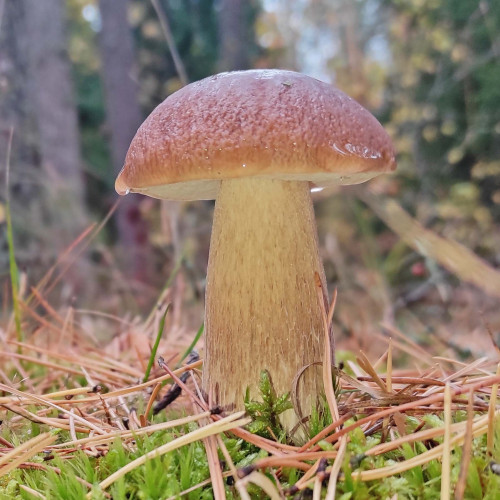 Les_07.10.2023-4.jpg