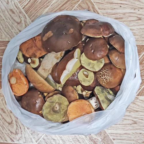Les_07.10.2023-7.jpg