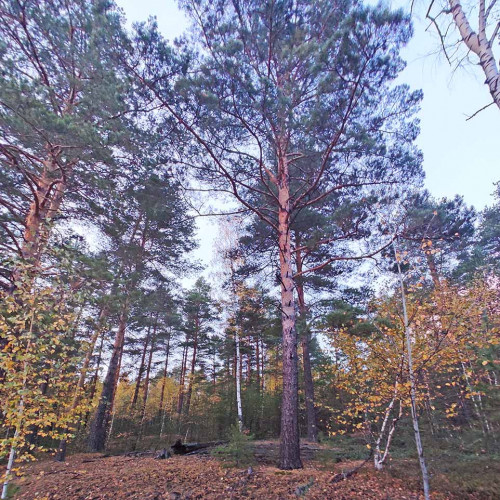 Les_08.10.2023-2.jpg