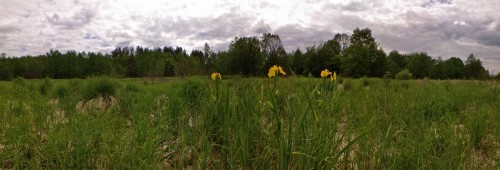 Les_02062012-4.jpg