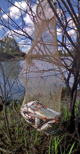 Les_04062012-8b.jpg